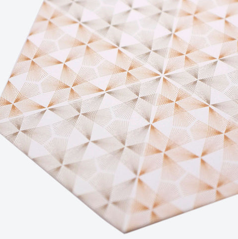 skopeo coasters (sienna)