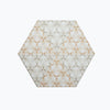 skopeo coasters (sienna)